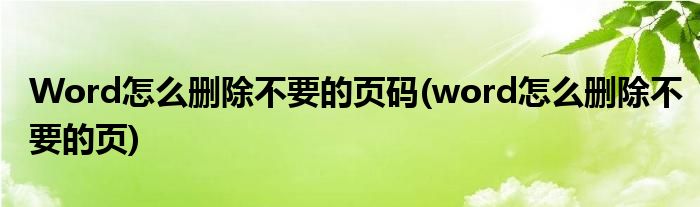 Word怎么删除不要的页码(word怎么删除不要的页)