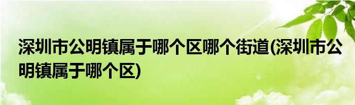 深圳市公明镇属于哪个区哪个街道(深圳市公明镇属于哪个区)