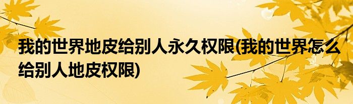 我的世界地皮给别人永久权限(我的世界怎么给别人地皮权限)