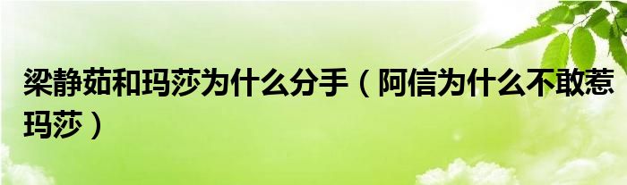 梁静茹和玛莎为什么分手（阿信为什么不敢惹玛莎）