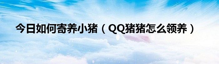 今日如何寄养小猪（QQ猪猪怎么领养）