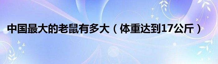 中国最大的老鼠有多大（体重达到17公斤）