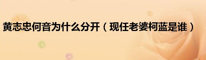黄志忠何音为什么分开（现任老婆柯蓝是谁）