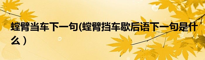 螳臂当车下一句(螳臂挡车歇后语下一句是什么）