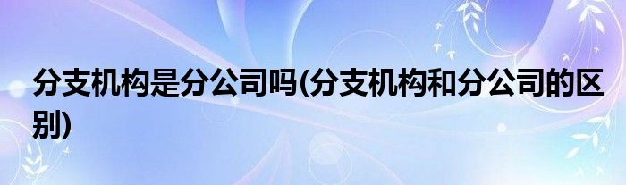 分支机构是分公司吗(分支机构和分公司的区别)