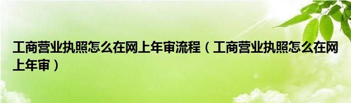 工商营业执照怎么在网上年审流程（工商营业执照怎么在网上年审）