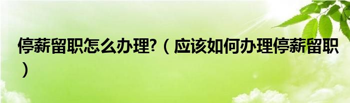 停薪留职怎么办理?（应该如何办理停薪留职）