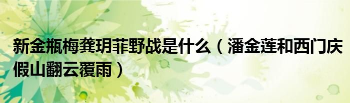 新金瓶梅龚玥菲野战是什么（潘金莲和西门庆假山翻云覆雨）