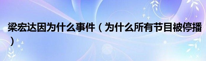 梁宏达因为什么事件（为什么所有节目被停播）