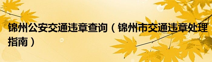 锦州公安交通违章查询（锦州市交通违章处理指南）