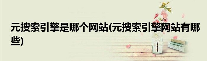 元搜索引擎是哪个网站(元搜索引擎网站有哪些)