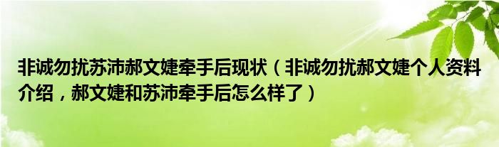 非诚勿扰苏沛郝文婕牵手后现状（非诚勿扰郝文婕个人资料介绍，郝文婕和苏沛牵手后怎么样了）