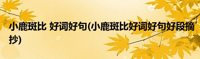 小鹿斑比 好词好句(小鹿斑比好词好句好段摘抄)