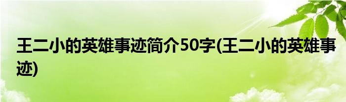 王二小的英雄事迹简介50字(王二小的英雄事迹)