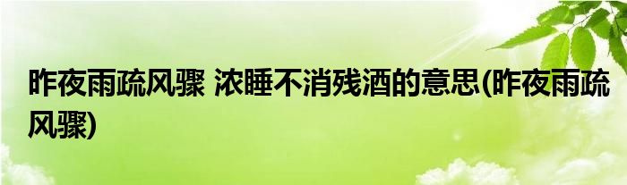 昨夜雨疏风骤 浓睡不消残酒的意思(昨夜雨疏风骤)