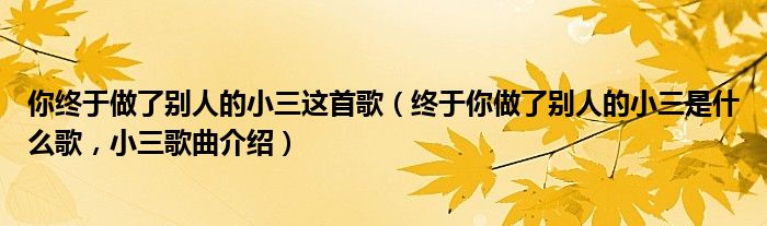 你终于做了别人的小三这首歌（终于你做了别人的小三是什么歌，小三歌曲介绍）