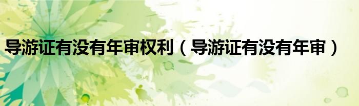 导游证有没有年审权利（导游证有没有年审）