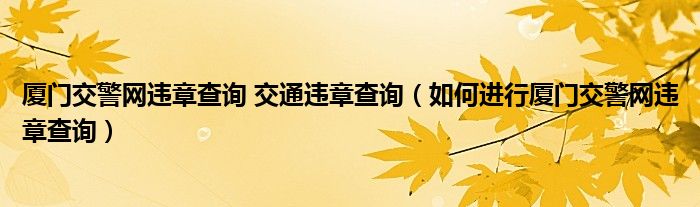 厦门交警网违章查询 交通违章查询（如何进行厦门交警网违章查询）