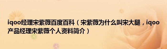 iqoo经理宋紫薇百度百科（宋紫薇为什么叫宋大腿，iqoo产品经理宋紫薇个人资料简介）