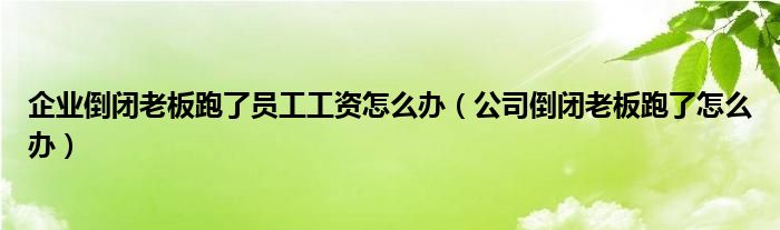 企业倒闭老板跑了员工工资怎么办（公司倒闭老板跑了怎么办）