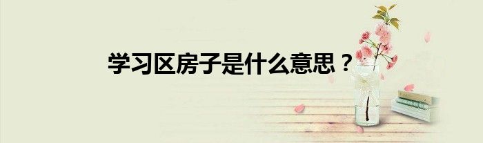 学习区房子是什么意思？