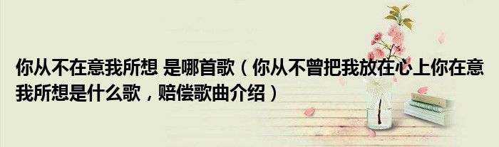 你从不在意我所想 是哪首歌（你从不曾把我放在心上你在意我所想是什么歌，赔偿歌曲介绍）