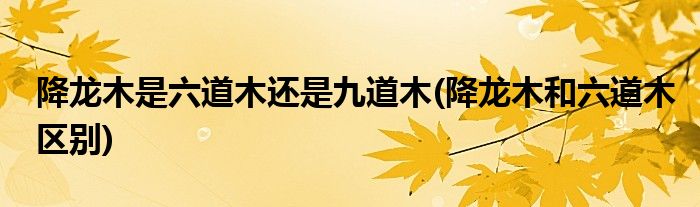 降龙木是六道木还是九道木(降龙木和六道木区别)