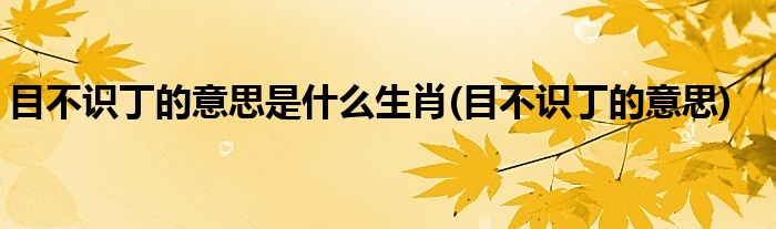目不识丁的意思是什么生肖(目不识丁的意思)