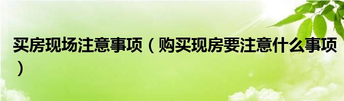 买房现场注意事项（购买现房要注意什么事项）