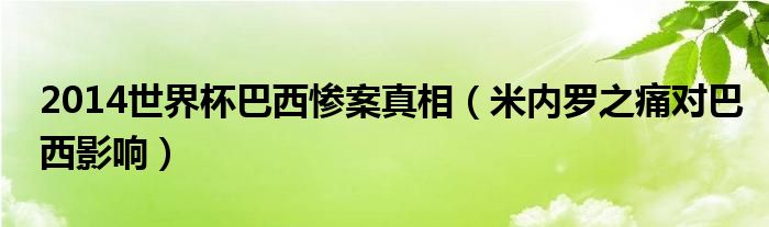 2014世界杯巴西惨案真相（米内罗之痛对巴西影响）