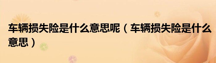 车辆损失险是什么意思呢（车辆损失险是什么意思）