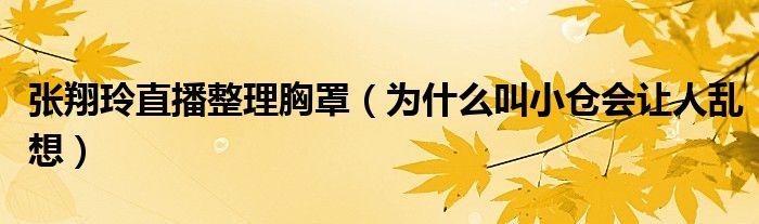 张翔玲直播整理胸罩（为什么叫小仓会让人乱想）