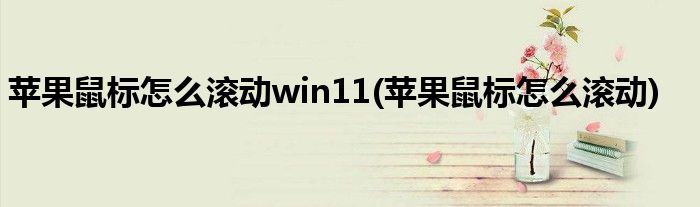 苹果鼠标怎么滚动win11(苹果鼠标怎么滚动)
