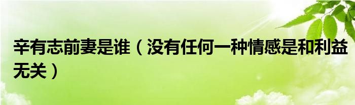 辛有志前妻是谁（没有任何一种情感是和利益无关）