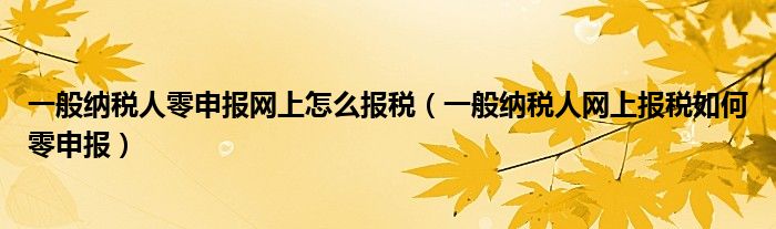 一般纳税人零申报网上怎么报税（一般纳税人网上报税如何零申报）