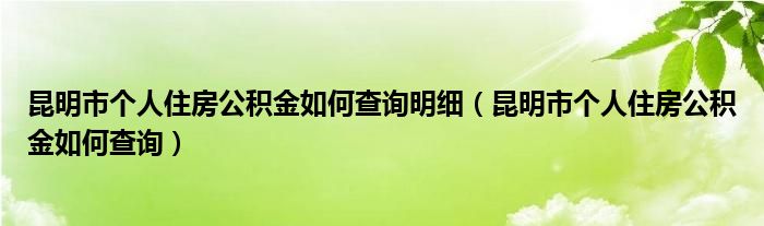 昆明市个人住房公积金如何查询明细（昆明市个人住房公积金如何查询）