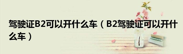 驾驶证B2可以开什么车（B2驾驶证可以开什么车）