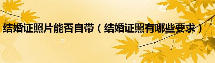 结婚证照片能否自带（结婚证照有哪些要求）
