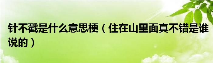 针不戳是什么意思梗（住在山里面真不错是谁说的）