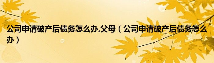 公司申请破产后债务怎么办,父母（公司申请破产后债务怎么办）