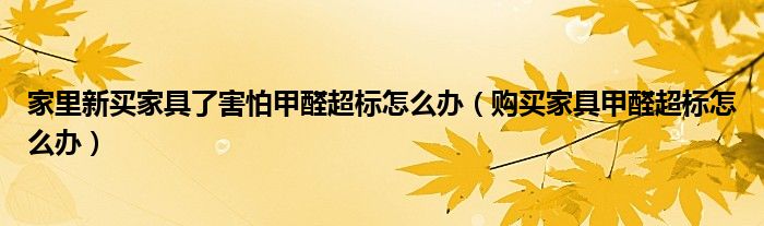 家里新买家具了害怕甲醛超标怎么办（购买家具甲醛超标怎么办）