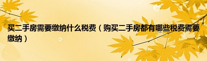 买二手房需要缴纳什么税费（购买二手房都有哪些税费需要缴纳）