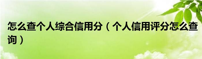 怎么查个人综合信用分（个人信用评分怎么查询）