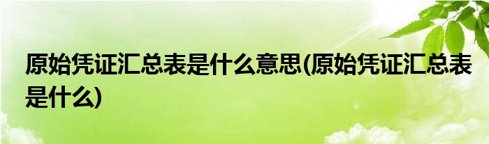 原始凭证汇总表是什么意思(原始凭证汇总表是什么)