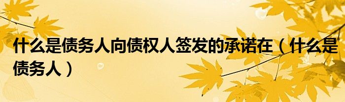 什么是债务人向债权人签发的承诺在（什么是债务人）