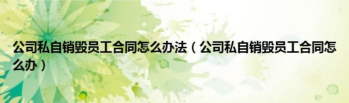 公司私自销毁员工合同怎么办法（公司私自销毁员工合同怎么办）