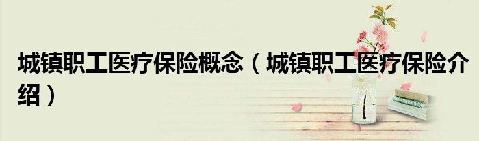 城镇职工医疗保险概念（城镇职工医疗保险介绍）
