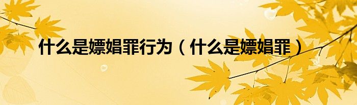 什么是嫖娼罪行为（什么是嫖娼罪）