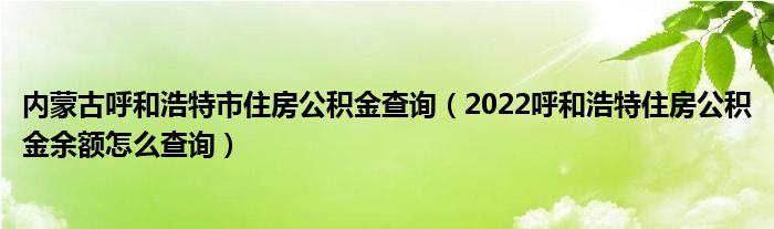 内蒙古呼和浩特市住房公积金查询（2022呼和浩特住房公积金余额怎么查询）
