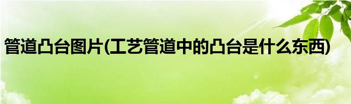 管道凸台图片(工艺管道中的凸台是什么东西)